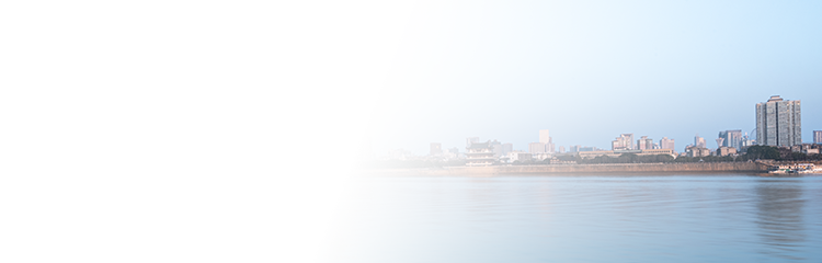 长沙优发国际鸿泰信息科技有限公司